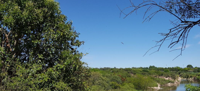 Un área verde fundamental para la salud de Villa Gobernador Gálvez (Departamento Rosario,Santa Fe) y zonas vecinas