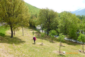 Visita al Giardino della Memoria del Sisma del 2009 (Abbazia S. Giovanni, Lucoli AQ)