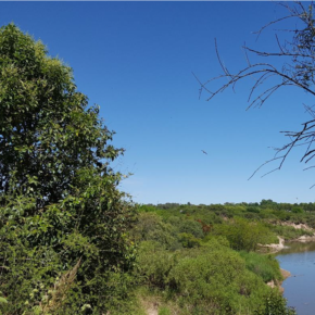 Un área verde fundamental para la salud de Villa Gobernador Gálvez (Departamento Rosario,Santa Fe) y zonas vecinas