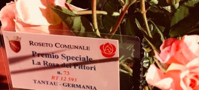 Concurso Internacional “Premio Roma” 2018