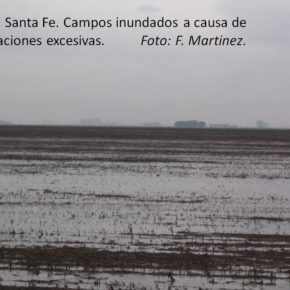 En el sur de Santa Fe veranos eran los de antes