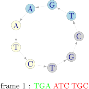 LA TEORÍA DE CÓDIGOS EN AUXILIO DE LA BIOTECNOLOGÍA