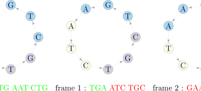 LA TEORÍA DE CÓDIGOS EN AUXILIO DE LA BIOTECNOLOGÍA